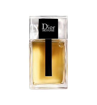 Dior Homme Eau de toilette 100ML UOMO