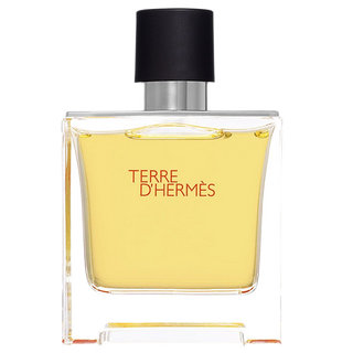 Hermès Terre D'Hermès Parfum (uomo) 100ml (tester)